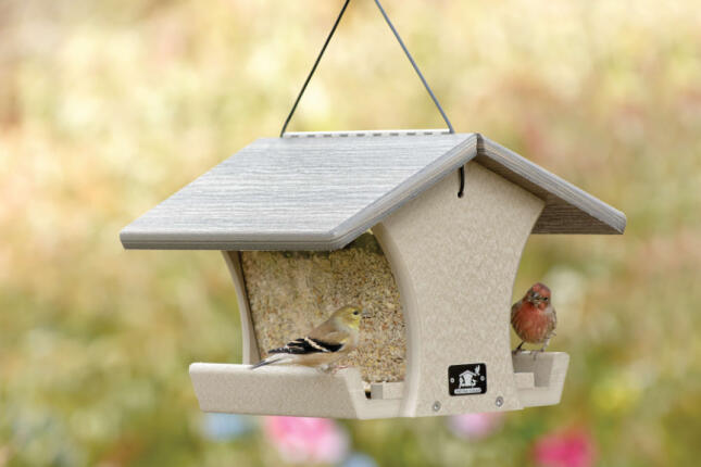 An American Goldfinch and a House Finch eat at a Hopper Feeder