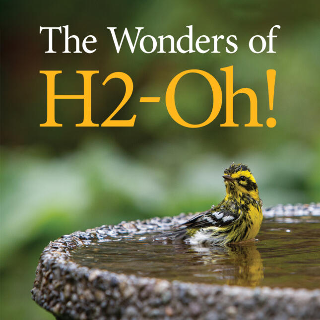 A wet Townsend’s Warbler bathes in a shallow stone bird bath against a softly blurred green background. Text reads, “The Wonders of H2-Oh!"