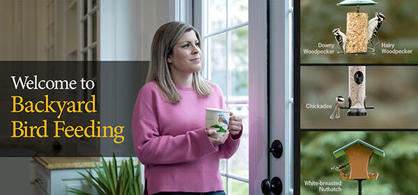 A “Welcome to Backyard Bird Feeding” graphic shows a woman watching birds through a window, with Downy and Hairy Woodpeckers, a chickadee, and a White-breasted Nuthatch visiting feeders.