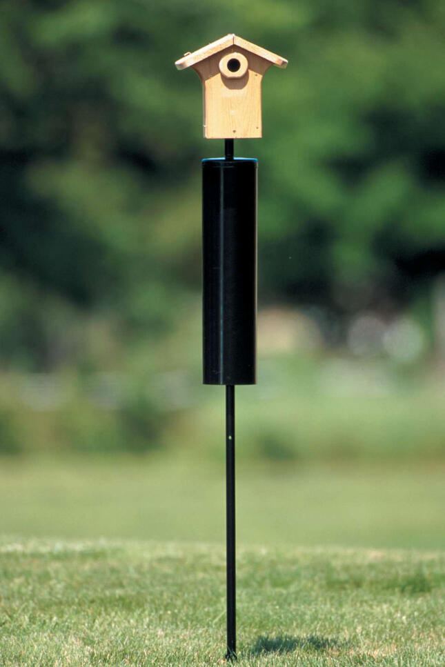 Wooden Bluebird house mounted on a freestanding metal pole with a large black predator baffle in an open grassy area.