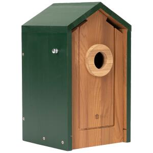Birdfy camera-equipped wooden nest box with a round entrance hole, natural wood front, and dark green roof and sides.