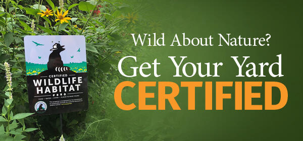 Certified Wildlife Habitat sign displayed in a native garden with the words “Wild About Nature? Get Your Yard Certified.”