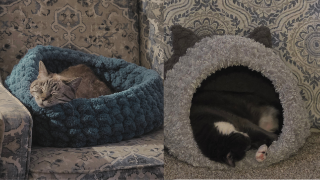 Heather&rsquo;s cats BeBe sleeping in a plush blue handmade pet bed and Bond curled inside a gray handmade cat cave by Stacy Freiss.