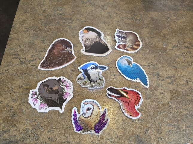 Illustrated bird, bat, raccoon, macaw, and dinosaur stickers by Colorado Springs artist Sierra Case of Riverside Studios.