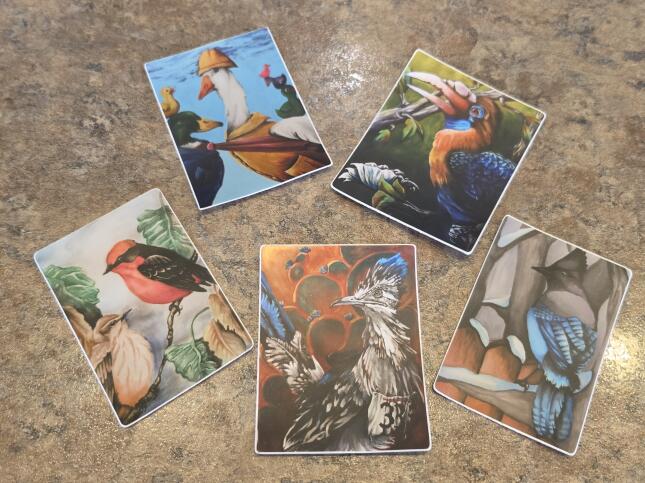 Five colorful bird-art stickers by Colorado Springs artist Mary Wilson, featuring geese, a hornbill, a songbird family, a roadrunner, and a Blue Jay.