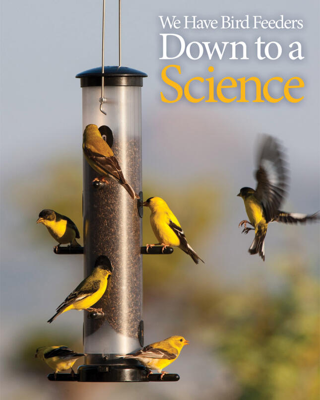 Several American Goldfinches feeding and flying around a tube bird feeder filled with Nyjer seed, with the words &ldquo;We Have Bird Feeders Down to a Science.&rdquo;