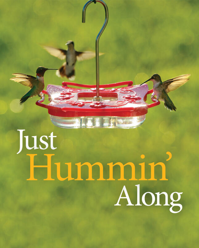 hummingbirds hovering and perching around a red saucer-style hummingbird feeder against a soft green background, with the words &ldquo;Just Hummin&rsquo; Along.&rdquo;
