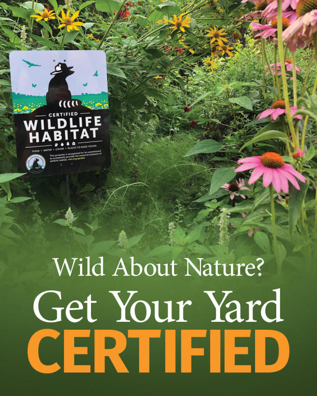 Certified Wildlife Habitat sign surrounded by native flowers and lush garden plants, with text reading, &ldquo;Wild About Nature? Get Your Yard Certified.&rdquo;