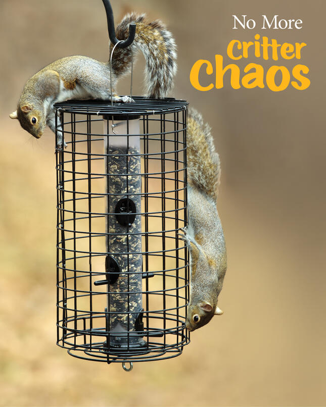 Two gray squirrels climbing on a black wire cage surrounding a tube bird feeder, with the words &ldquo;No More Critter Chaos.&rdquo;
